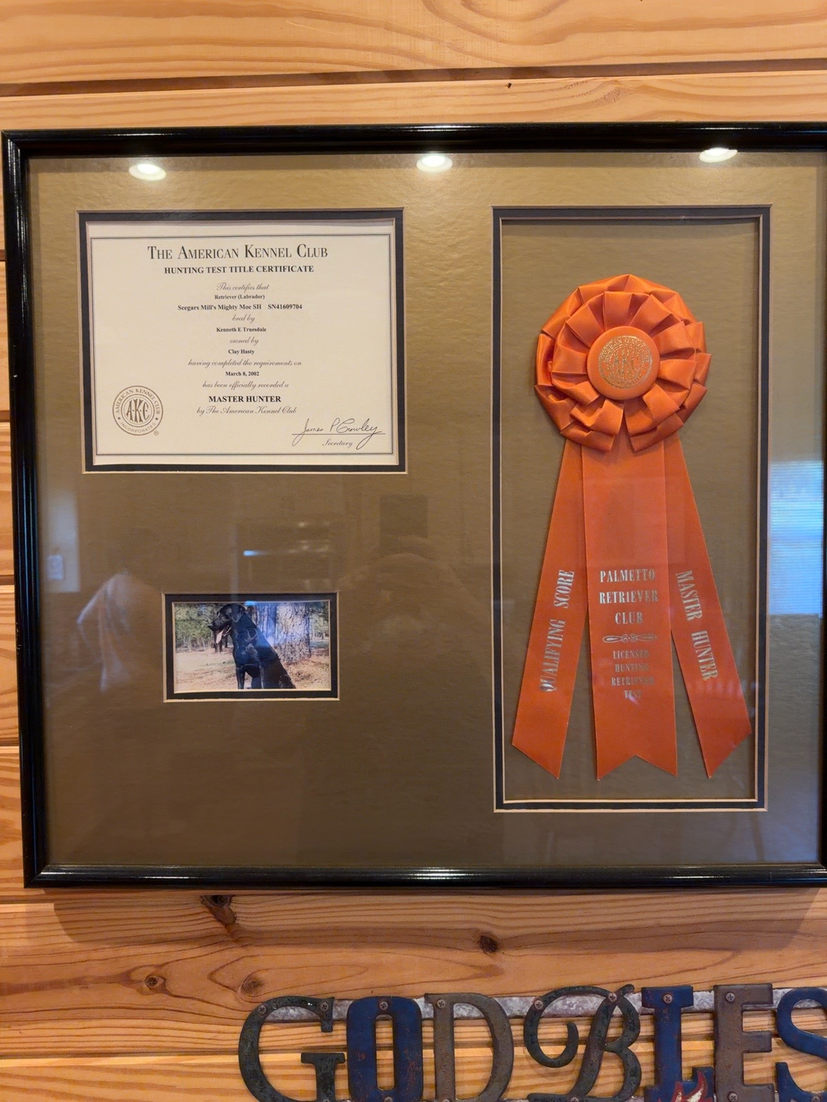 AKC Master Hunter certificate and Palmetto Retriever Club ribbon