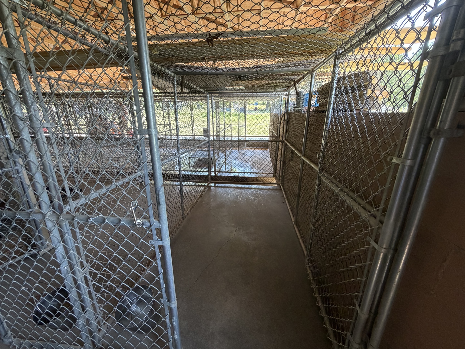 Covered outdoor kennel lane at Seegars Mill Kennels