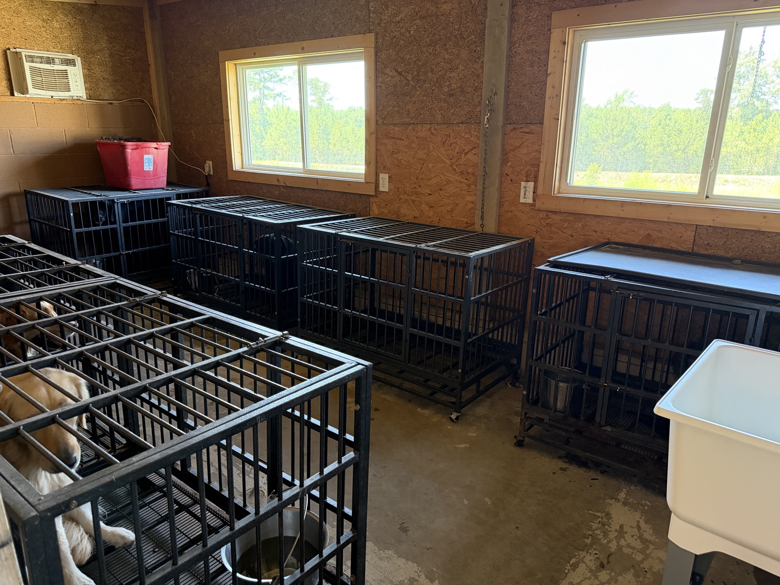 Indoor crate room at Seegars Mill Kennels