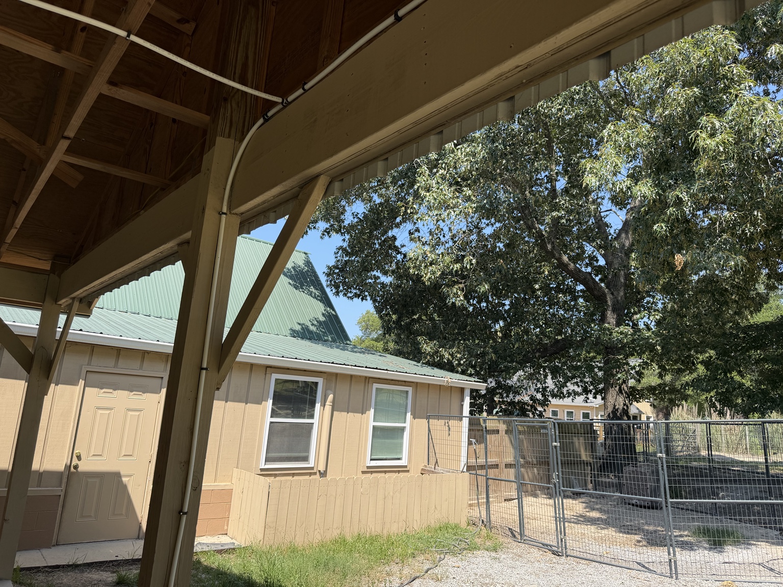 Outdoor kennel yard and run area at Seegars Mill Kennels