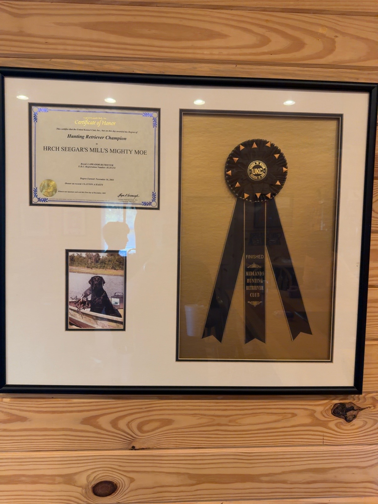 UKC Hunting Retriever Champion certificate and ribbon